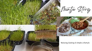 Silent Vlog : Growing Microgreens, How I cook Rice | Tanam Sayur TANPA lahan, Masak Nasi lebih SEHAT