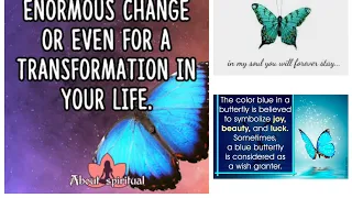 Blue Butterfly Sighting Meaning: Butterflies and Grief