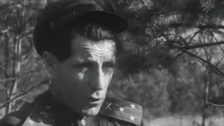 Освобождение Орши 27июня 1944