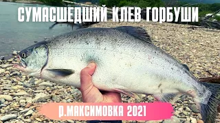 Сумасшедшая рыбалка на реке Максимовка Тернейский район 2021 год. 👍