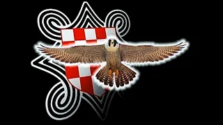 Oj Ti Vilo Velebita (Zlatko Pejaković) - Croatian patriotic song