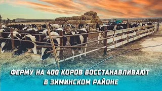 Ферму на 400 коров восстанавливают в Зиминском районе