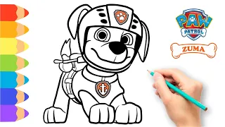 How to Draw Paw Patrol The Movie 🐾 Drawing Paw Patrol Zuma