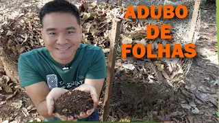 Compostagem de folhas - Aprenda a fazer