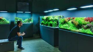 The Beautiful World of Aquascaping - Green Aqua (Cinematic)