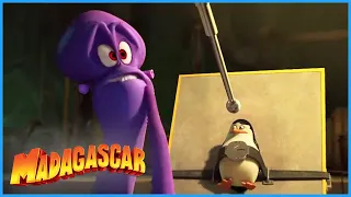 DreamWorks Madagascar  | Always Look Back! | Penguins of Madagascar Clip
