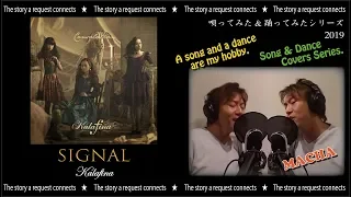 マチャ☆唄ってみた369♪SIGNAL/Kalafina♪