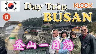 1 Day Tour From Busan | 釜山一日游 | HAEDONG YONGGONGSA TEMPLE | CHEONGSAPO MIPO | HUINNYEOUL & GAMCHEON