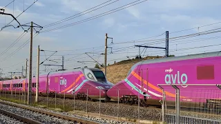 Renfe Avlo doble / Spanish High-speed train