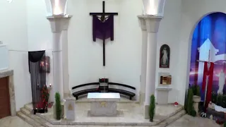 Coffin Dance on church organ