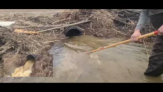 My new potato rake  Big lake beaver clogged the drain pipe. removing the beaver blockage.