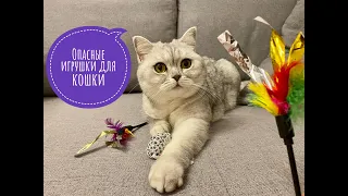 Самые опасные игрушки для кошки #кот #кошка #смешныекоты