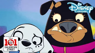 101 Dalmatian Street | Disco Puppies | Disney Channel NL