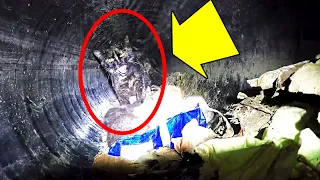 A Cat And Her Kittens Were Trapped In A 60ft Pipe, So Rescuers Launched An Epic Mission To Save Them