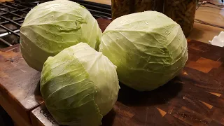 Quick and easy fermented kraut