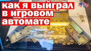 Сколько можно выиграть денег в игровом автомате Нью-Йорка?