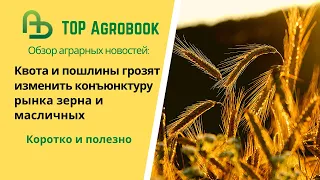 Квота и пошлины грозят изменить конъюнктуру рынка зерна и масличных. TOP Agrobook обзор агроновостей