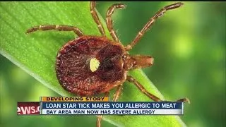 Lone star tick can make you allergic to meat