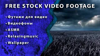 Футаж Бесплатно Поле Облака Дождь Гроза Молния ✦ FOOTAGE FREE Field Clouds Rain Storm Lightning