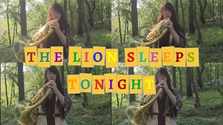 The Lion Sleeps Tonight (Horn Quartet)