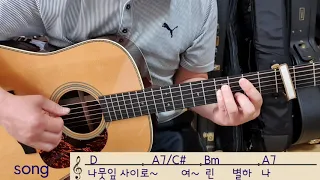 '나뭇잎 사이로' Dkey(3fretcapo)