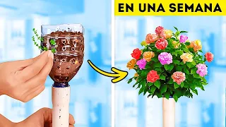 🌱 ¡Trucos de jardinería 101! Técnicas de plantación e ideas con botellas de plástico para plantas