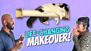 Contest Winner Moves on After Tragedy | Cat Room Makeover