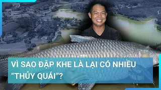 Vì sao đập nước Khe Là ở Nghệ An lại có nhiều "thủy quái" ? | Cuộc sống 24h