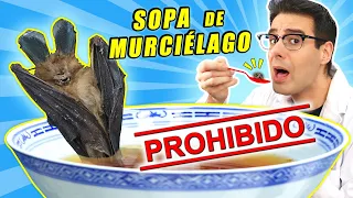 Probando LA SOPA PROHIBIDA DE MURCIÉLAGO | Temporada 4 | Curiosidades con Mike - T4 E1