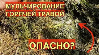 Мульчирование скошенной травой: ВРЕД, ОПАСНОСТЬ и ЗАБЛУЖДЕНИЯ о горячей мульче