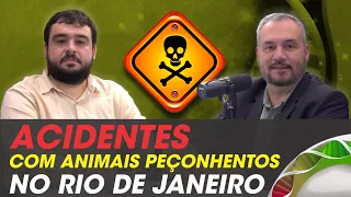 Acidentes com animais peçonhentos no Rio de Janeiro - CANAL MÉDICO #013
