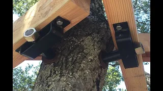 Treehouse Hardware