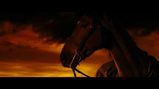 War Horse 2011 || Ending Scene