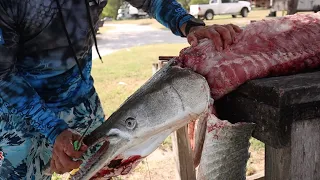 ALLIGATOR GAR CLEANING SIMPLE,FUN AND EASY
