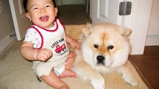 Baby making interesting conversation with dog Part 2 - Dog making baby LOL!