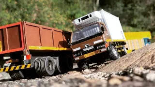 Customised Centy Toys Eicher Canter | Eicher Panther Truck | Truck Videos | Auto Legends