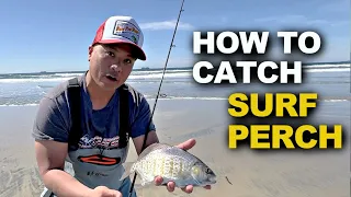 Surf Fishing San Diego | How to Catch Barred Surfperch