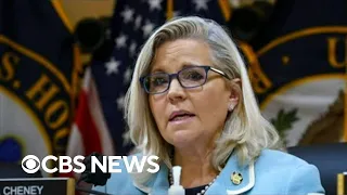 Major Democratic donors back Rep. Liz Cheney in reelection bid