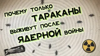 Почему только тараканы выживут после ядерного взрыва? Хороший Вопрос