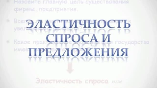 Эластичность спроса и предложения