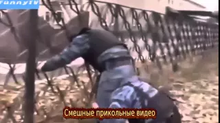 Прикольные видео ролики онлайн, лучшее видео ютуба 2015