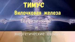 Тимус.Физические и энергетические свойства.