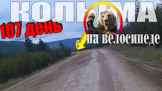 №107. 🐻 Медведь меня остановил.😰 Колымский тракт на велосипеде. Велопутешествие Москва Магадан.