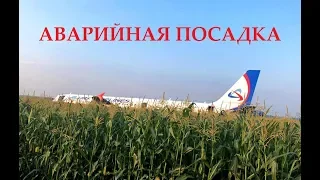 СРОЧНО! АВАРИЙНАЯ посадка AIRBUS-A321, Жуковский