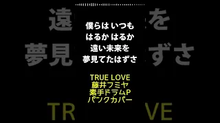 (パンクカバー)TRUE LOVE/藤井フミヤ(演奏: 素手ドラムP)
