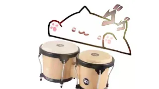 Бонго кот играет на барабанах без регистрации и смс