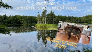 ~The Home of Brown Bears~　Shiretoko Goko Walking Tour