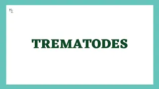 Trematodes Parasitology | Flukes | morphology, lifecycle, lab diagnosis, treatment | MedZukhruf