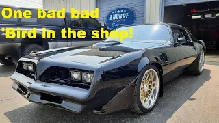 Stunning "Bandit Trans Am" in the shop! Top of OUR want list! 1977 Pontiac Trans Am Build!