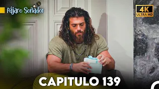 Pájaro Soñador Capítulo 139 (Doblado En Español 4K)